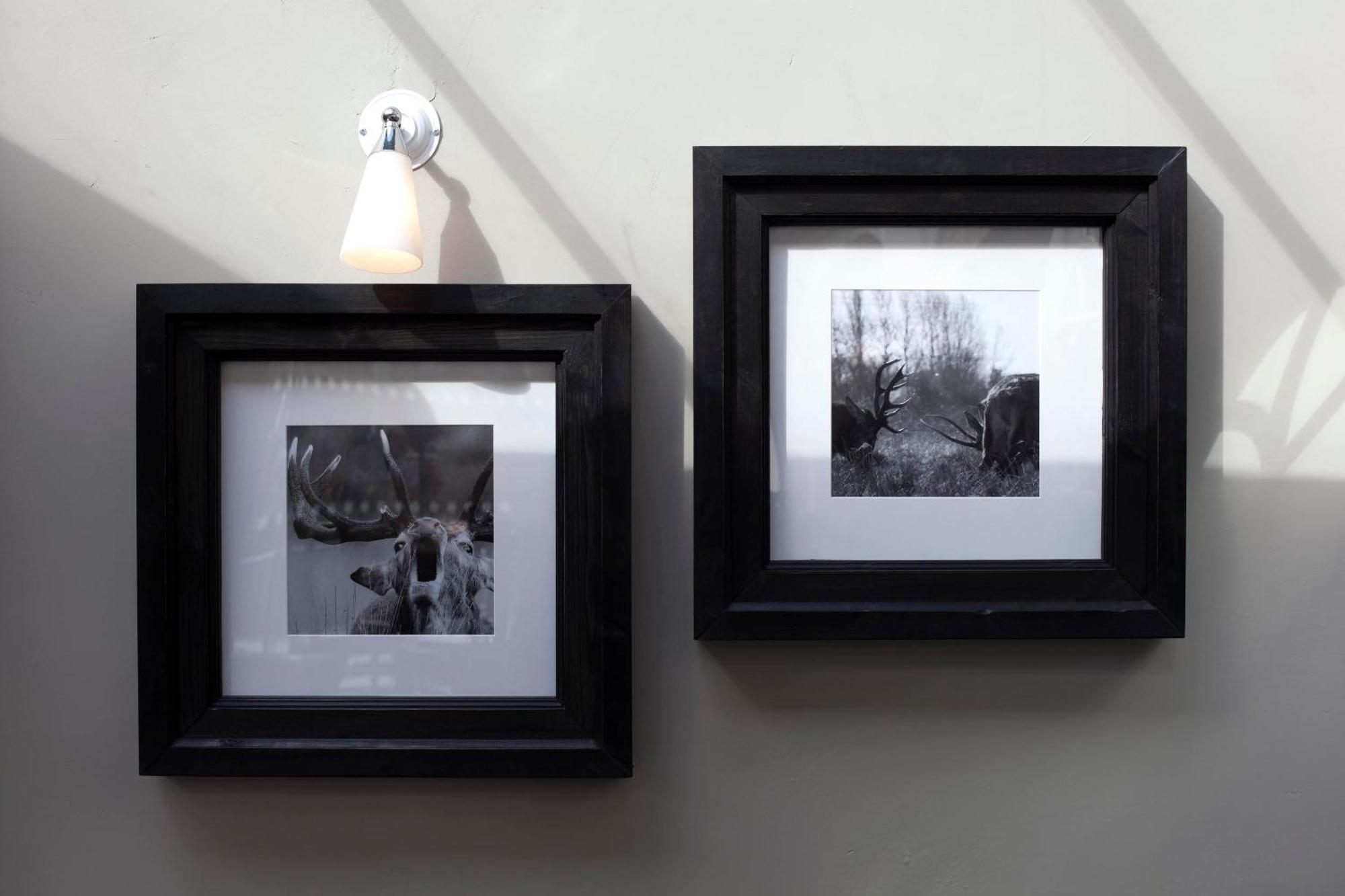Готель The Three Crowns Чаґфорд Екстер'єр фото Framed photographs